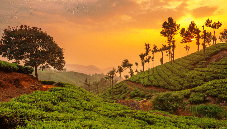 Why Kerala is the Ultimate Monsoon Escape This Season