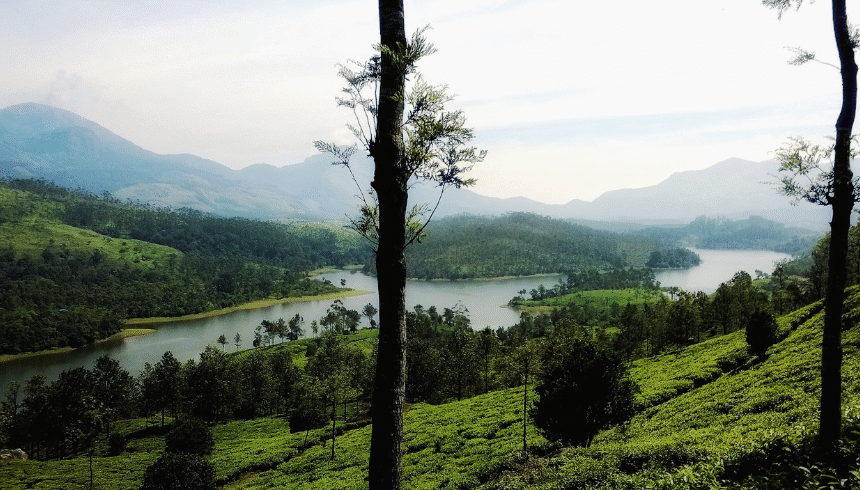 Munnar to Alleppey: A Perfect 7-Day Itinerary for Kerala Tour This Season