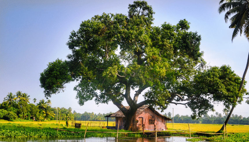 Kerala’s Festival Season Is Here – Where to Go & What to See