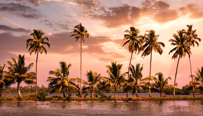 Tea, Spices & Ayurveda: Discover Kerala’s Healing Secrets This Travel Season