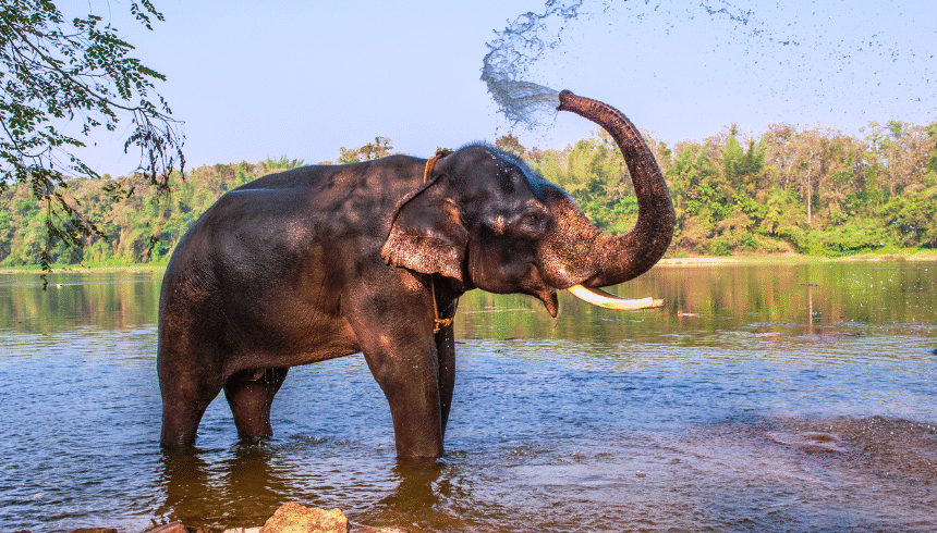 From Backwaters to Beaches: Explore the Best of Kerala in 2025