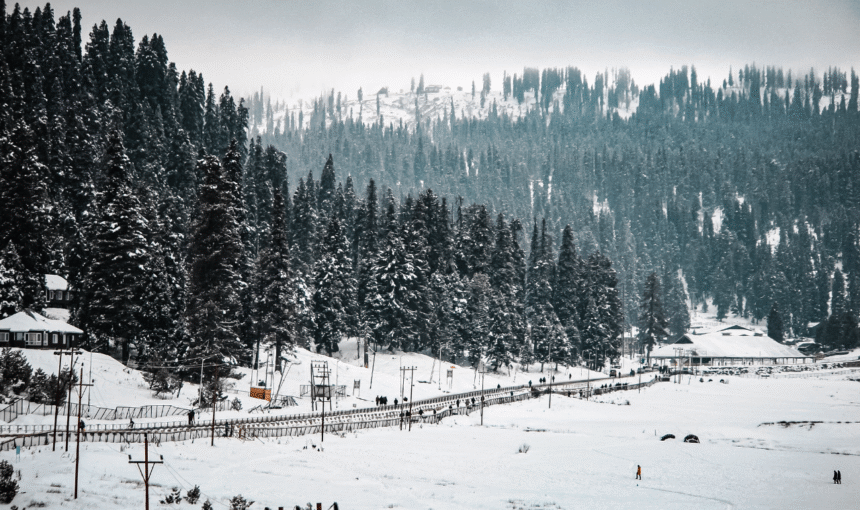 Budget vs Luxury Kashmir Winter Trips What’s Best for You