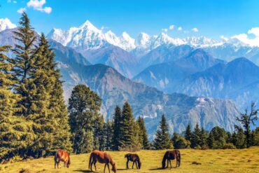 Explore North India Tours: Ladakh, Himachal, Uttarakhand & Kashmir