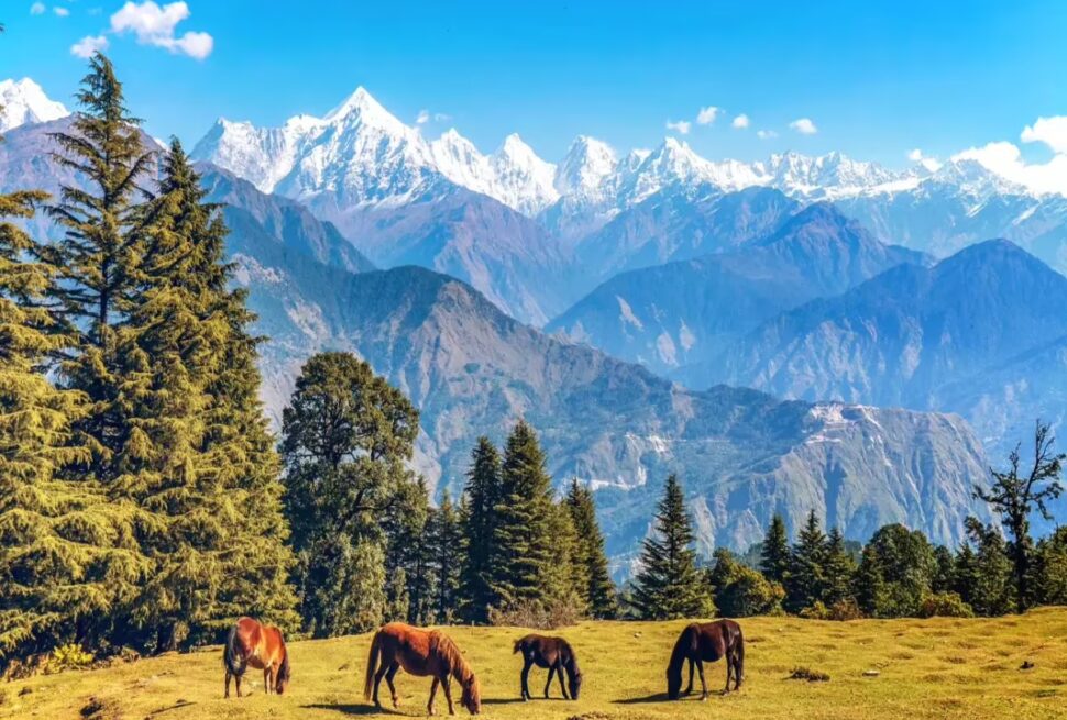 Explore North India Tours: Ladakh, Himachal, Uttarakhand & Kashmir